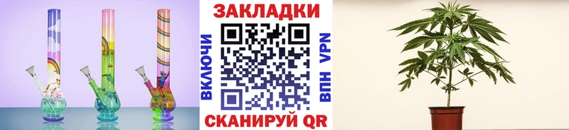 Купить закладку Галлюциногенные грибы  Мефедрон  ГАШИШ  Канабис  Кокаин  СОЛЬ  Донецк