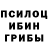 Псилоцибиновые грибы прущие грибы niranjan clart