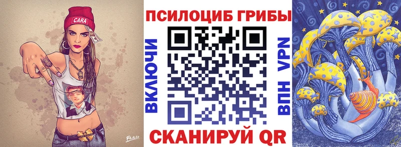 Купить где  Донецк  Псилоцибиновые грибы Psilocybine cubensis 